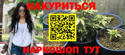 эйфоретик Лесосибирск