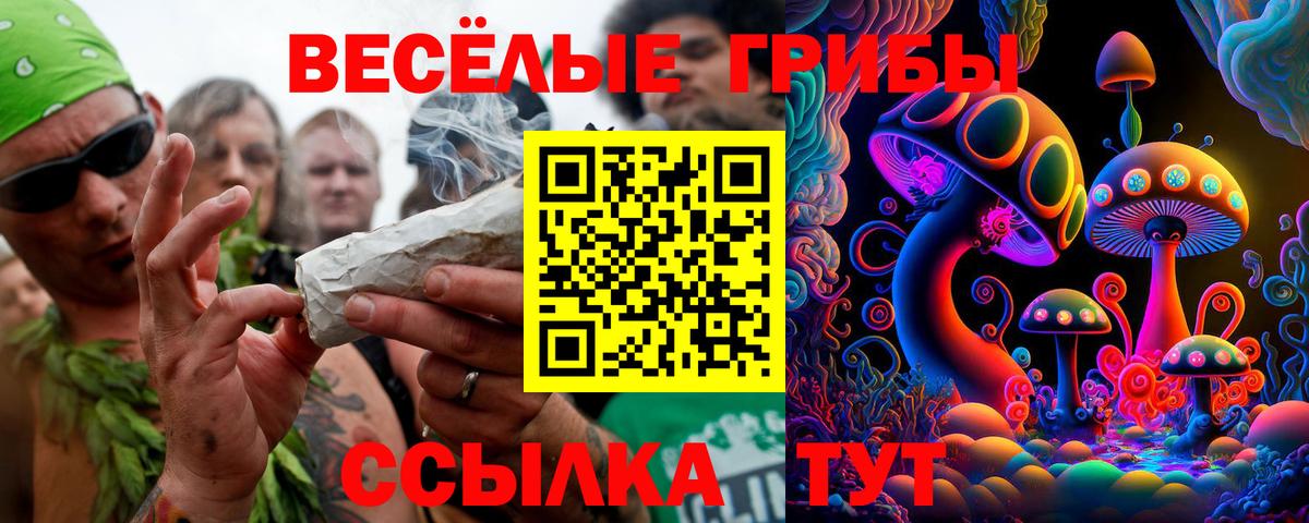 Галлюциногенные грибы Psilocybine cubensis  Вход с VPN  Бугуруслан 