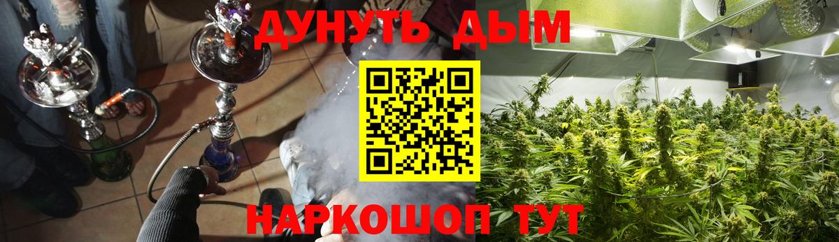 МАРИХУАНА Bruce Banner Бугуруслан